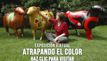 Exposición Virtual “Atrapando el Color“ de Marianela Azócar
