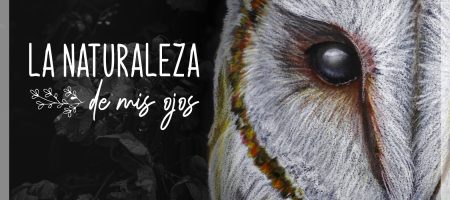 Exposición Virtual “La Naturaleza de mis Ojos” del destacado artista visual Pablo Vallejos Frías
