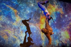Obra Estrellas Homínidas